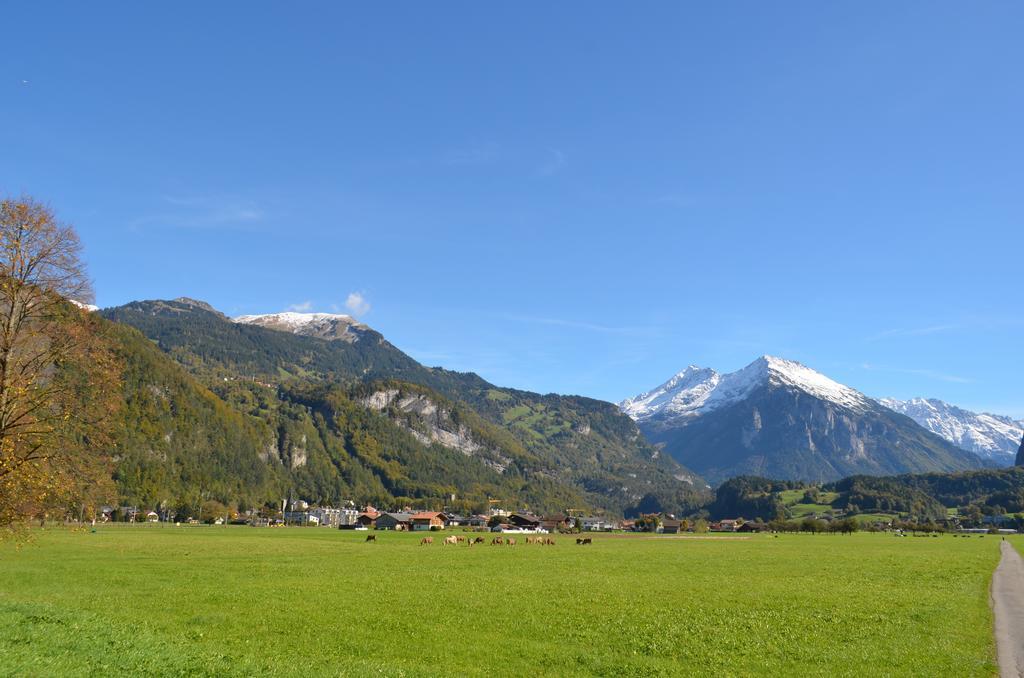 Mountain-Panorama Apartment Meiringen Exterior photo