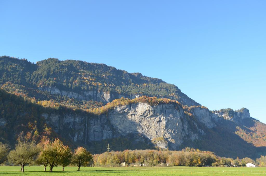 Mountain-Panorama Apartment Meiringen Exterior photo